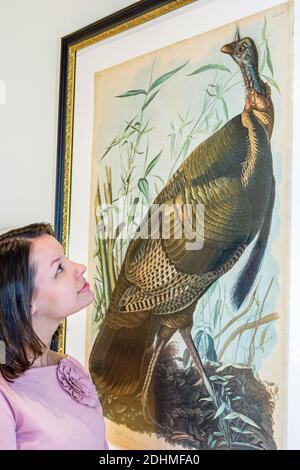 Auburn University Alabama, Jule Collins Smith Museum of fine Arts, donna visitatore che guarda opere d'arte Audubon Collection, Foto Stock