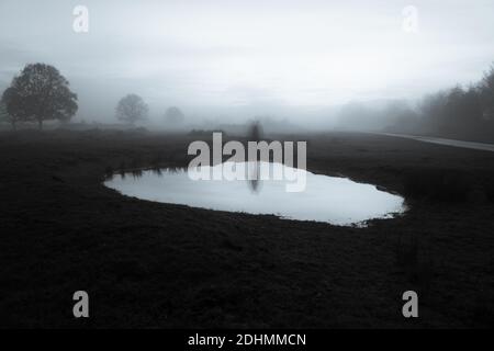 Una figura fantasma offuscata, riflessa in uno stagno in campagna su una notte d'inverni umidi. Foto Stock