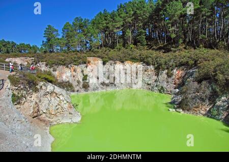 Il Devil's bagno, Wai-O-Tapu Thermal Wonderland, Rotorua, Baia di Planty Regione, Isola del nord, Nuova Zelanda Foto Stock