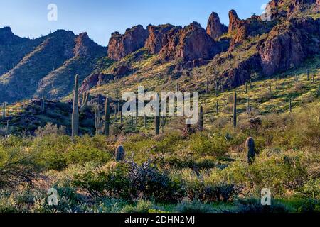 Paesaggio desertico dal Picacho Peak state Park (Arizona, USA) nel marzo 2020. Foto Stock