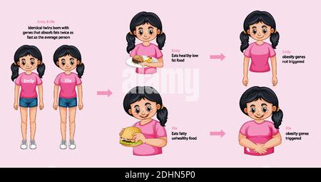 Ruoli dei geni e dell'ambiente. Tessuto adiposo corporeo in due gemelli identici infografica. Illustrazione Illustrazione Vettoriale