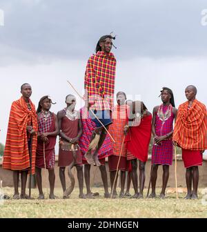 I Maasai preformano la tradizionale danza jumping in un villaggio Maasai a Maasai Mara, Kenya. Foto Stock