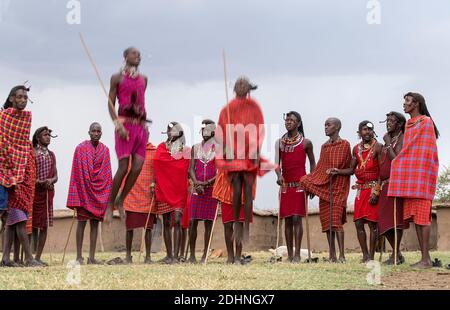 I Maasai preformano la tradizionale danza jumping in un villaggio Maasai a Maasai Mara, Kenya. Foto Stock