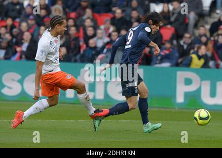 Edinson Cavani della PSG ha combattuto contro Daniel Congre della Montpellier durante la prima partita di calcio della Francia, Parigi-St-Germain contro Montpellier, a Parc des Princes, Parigi, Francia, il 5 marzo 2016. PSG e Montpellier hanno disegnato 0-0. Foto di Henri Szwarc/ABACAPRESS.COM Foto Stock