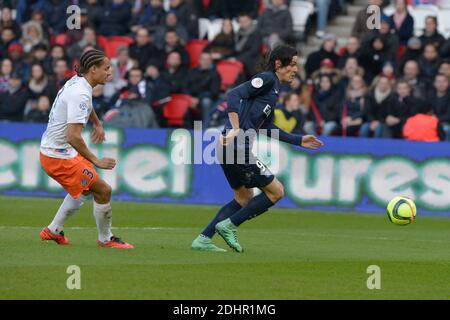 Edinson Cavani della PSG ha combattuto contro Daniel Congre della Montpellier durante la prima partita di calcio della Francia, Parigi-St-Germain contro Montpellier, a Parc des Princes, Parigi, Francia, il 5 marzo 2016. PSG e Montpellier hanno disegnato 0-0. Foto di Henri Szwarc/ABACAPRESS.COM Foto Stock