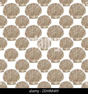 Vintage modello regolare senza giunture con conchiglie di mare dipinte ad acquerello su sfondo pastello. Foto Stock