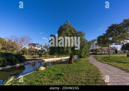 Paesaggio dei giardini del fiume Turia Jardin del Turia, area sportiva e per il tempo libero a Valencia, Spagna. Con alberi, erba e acqua Foto Stock