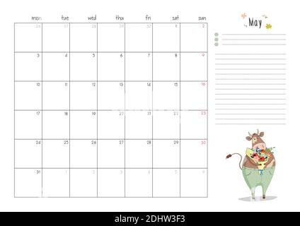 Stampa A4 planner page per maggio 2021 con un toro, una mucca o un bue carino, il simbolo del nuovo anno 2021 secondo il calendario cinese. La settimana inizia il Illustrazione Vettoriale