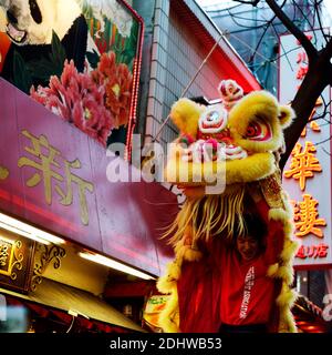 Danza Shishimai durante il Capodanno cinese a Yokohama Chinatown 2013 Foto Stock