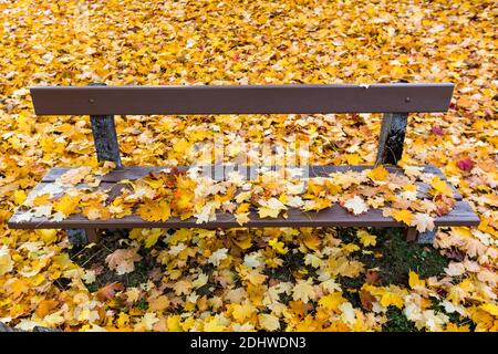 Parkbank mit Herbstlaub Foto Stock