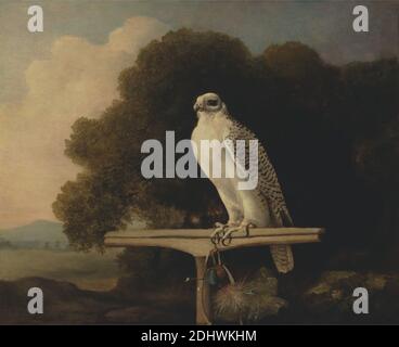 Groenlandia Falcon, George Stubbs, 1724–1806, British, 1780, cera d'api su pannello, supporto (PTG): 32 x 39 pollici (81.3 x 99.1 cm), arte animale, campane (idiofoni), esotismo, falco (uccello), campo, caccia, paesaggio, guinzaglio, persico, taloni, bianco (colore), Inghilterra, Lowestoft, Suffolk, Regno Unito Foto Stock