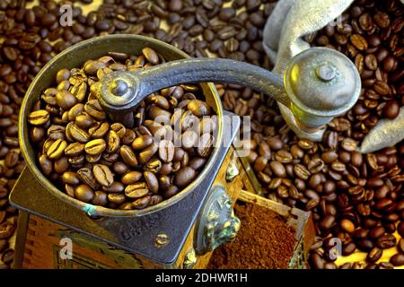 Viele Kaffeebohnen liegen neben einer Kaffeemühle. Frisch gemahlener Kaffee Foto Stock