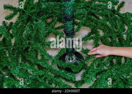 Assemblaggio albero di Natale verde all'interno della casa. Mano femminile aggiungendo rami artificiali per formare un albero di pino festivo su un supporto. Foto Stock