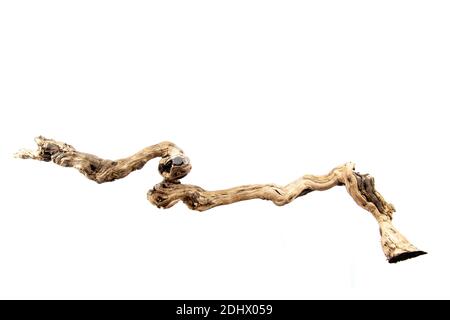 Driftwood curvo isolato su sfondo bianco con molto copyspace Foto Stock