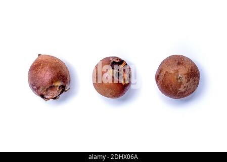 Tre medlars organici comuni freschi mature - frutta su sfondo bianco. Cibo sano Mespilus germanica Foto Stock