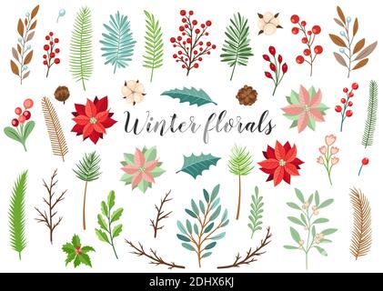 Set di elementi decorativi floreali invernali. Kit di design per Natale e Capodanno Foto Stock