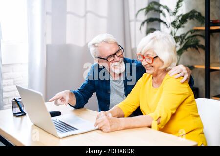 Una coppia anziana felice sta usando il laptop indoor Foto Stock