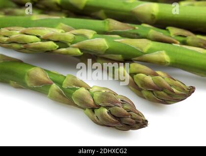 Asparagi verdi, Asparagus officinalis, Verdure contro uno sfondo bianco Foto Stock