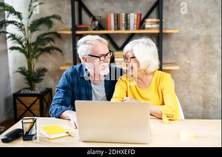 Una coppia anziana felice sta usando il laptop indoor Foto Stock