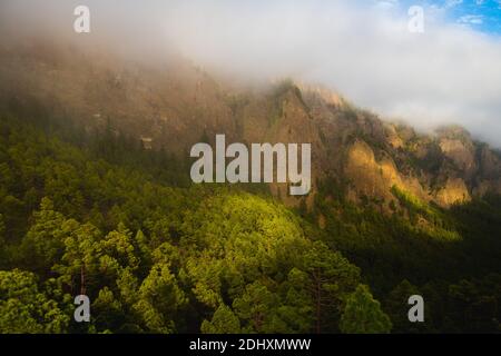 montagna tra nuvole illuminate al sole su una verde pineta Foto Stock