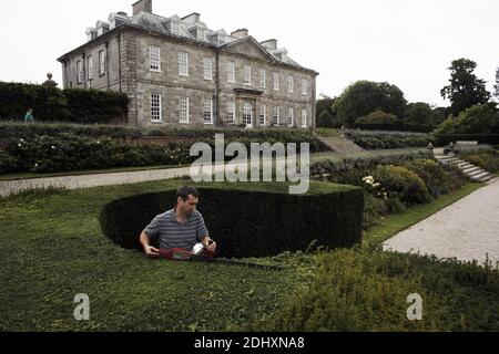 Il giardiniere taglia la siepe di tasso nei giardini formali di questa residenza 18c con tagliasiepi elettrico a Antony House, Torpoint, Cornovaglia, Regno Unito Foto Stock