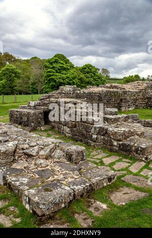 Le rovine romane di uno dei ponti romani a Willowford (attraversando il fiume Irthing), il vallo di Adriano, Cumbria, England, Regno Unito Foto Stock