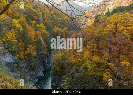 Fiume Belaya in fondo a una gola profonda, canyon, nella Repubblica di Adygea in Russia Foto Stock