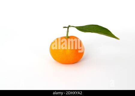 Mandarino maturo con foglie da vicino su sfondo bianco. Foto Stock