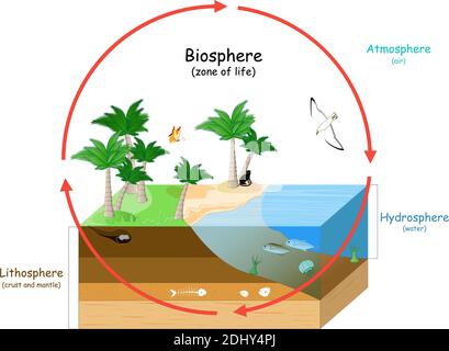 La Biosfera è una zona di vita sulla Terra. Ecosistemi naturali con fauna selvatica. Ecosfera (ambiente), idrosfera (acqua), atmosfera (aria), litosfera Illustrazione Vettoriale