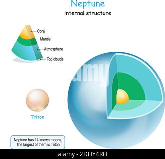 Struttura interna di Nettuno. Sezione trasversale del pianeta da nucleo a mantello e crosta. Triton è Luna di Nettuno. Sistema solare. Infografica. Vettore Illustrazione Vettoriale
