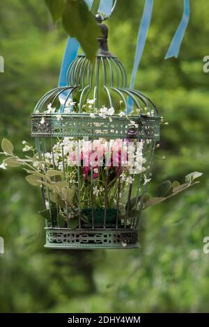 Composizione floreale per matrimoni, decorazione delicata. Fiori di rose e peonie in una gabbia d'epoca sono appesi su un albero nel giardino della Foto Stock
