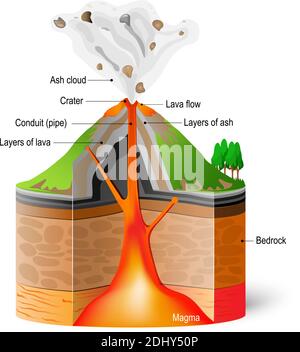 Sezione trasversale di un vulcano. Schema di eruzione su sfondo bianco. Infografica vettoriale Illustrazione Vettoriale