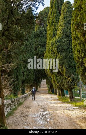 L'anziano cammina verso il parco di San Vigilio. Il parco forma una penisola che chiude il Golfo di Garda a nord-ovest. San Vigilio è sempre stato Foto Stock