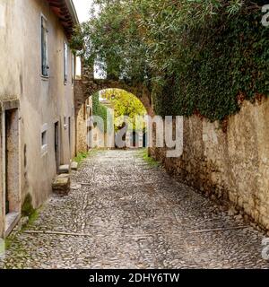 Viale che conduce al parco di San Vigilio. Il parco forma una penisola che chiude il Golfo di Garda a nord-ovest. San Vigilio è sempre stato un de Foto Stock