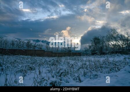 Una vista sui campi innevati dopo un primo periodo di nevicate a Srinagar.la prima nevicata della stagione ha schiacciato le pianure della Valle del Kashmir, mentre le alture di Jammu e Kashmir hanno ricevuto una forte nevicata. Tutte le principali autostrade, tra cui la Srinagar-Jammu, Srinagar-Leh e la Mughal Road, sono chiuse per il traffico a seguito di forti nevicate, ha detto i funzionari. Foto Stock