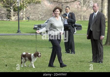 Prima Lady Laura Bush cammina il suo cane, Spot, attraverso il prato meridionale della Casa Bianca per l'elicottero in attesa di prendere lei e il presidente degli Stati Uniti George W. Bush a Camp David per il week-end il 30 marzo 2001.Photo di Ron Sachs/CNP/ABACAPRESS.COM Foto Stock