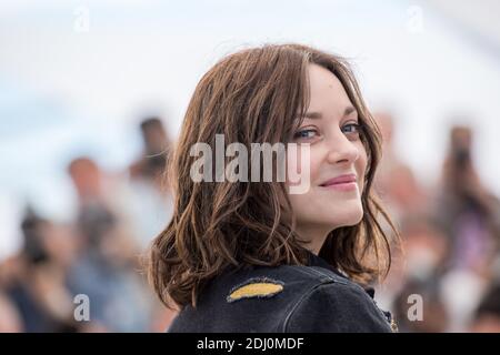 File photo : Marion Cotillard partecipa alla fotocellula Mal De Pierres al Palais des Festivals di Cannes, in Francia, il 15 maggio 2016, nell'ambito del 69° Festival del Cinema di Cannes. Quasi non appena le notizie si sono interrotte circa il divorzio di Brad Pitt e Angelina Jolie, la gente ha cominciato a puntare le dita. E la maggior parte erano rivolti alla sua co-stella alleata Marion Cotillard. Ma gli amici dell’attrice francese si sono precipitati verso la sua difesa, dicendo che sarebbe stata "assolutamente devastata" da suggerimenti che ha qualsiasi ruolo da svolgere nella sensazionale divisione, o che è stata infedele verso il suo compagno, l’attore Guillaume Canet, 43. PH Foto Stock