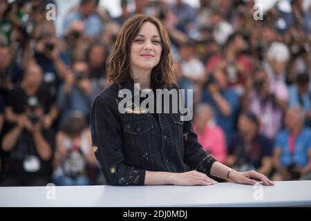 File photo : Marion Cotillard partecipa alla fotocellula Mal De Pierres al Palais des Festivals di Cannes, in Francia, il 15 maggio 2016, nell'ambito del 69° Festival del Cinema di Cannes. Quasi non appena le notizie si sono interrotte circa il divorzio di Brad Pitt e Angelina Jolie, la gente ha cominciato a puntare le dita. E la maggior parte erano rivolti alla sua co-stella alleata Marion Cotillard. Ma gli amici dell’attrice francese si sono precipitati verso la sua difesa, dicendo che sarebbe stata "assolutamente devastata" da suggerimenti che ha qualsiasi ruolo da svolgere nella sensazionale divisione, o che è stata infedele verso il suo compagno, l’attore Guillaume Canet, 43. PH Foto Stock