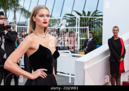 Toni Garrn - CANNES 2016 - MONTEE DES MARCHES DU FILM 'LOVING' Foto di Nasser Berzane/ABACAPRESS.COM Foto Stock