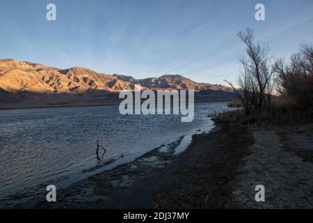 Il lago artificiale di Tinemaha è un lago della contea di Inyo, California, che fornisce acqua alle città della California meridionale. È una casa di fauna selvatica come uccelli. Foto Stock