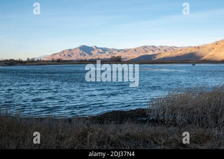 Il lago artificiale di Tinemaha è un lago della contea di Inyo, California, che fornisce acqua alle città della California meridionale. È una casa di fauna selvatica come uccelli. Foto Stock