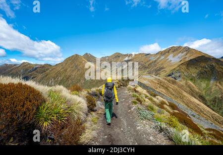 Escursionista su Kepler Track, Great Walk, vista delle montagne Kepler, Fiordland National Park, Southland, Nuova Zelanda Foto Stock