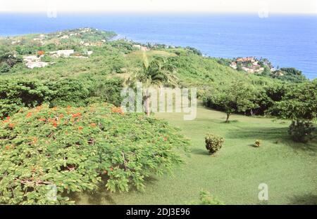 Novanta Trinidad e Tobago - Vista della lussureggiante bellezza della zona di Plymouth su Tobago ca. 1998 Foto Stock