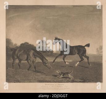 Caccia alla volpe a Grass; proprietà di John Micklethwait Esq., William Ward, 1766–1826, British, dopo Benjamin Marshall, 1768–1835, British, 1812, Mezzotint, foglio: 20 1/2 x 23 3/8in. (52.1 x 59,4 cm Foto Stock