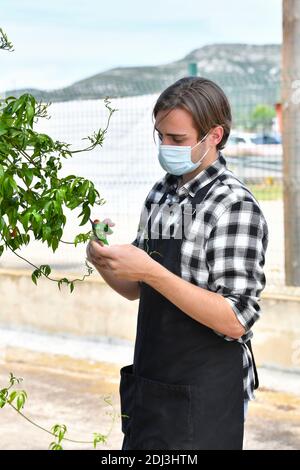 vista di un giovane operaio maschio che indossa una maschera chirurgica che si prende cura di una pianta usando cesoie potatrici. Concetto di sicurezza e giardinaggio. Foto Stock
