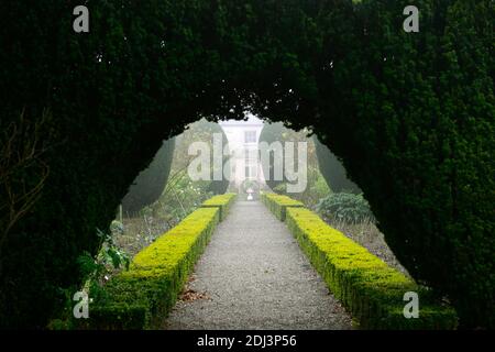 Colonne di Yew, arco di tasso, topiary di tasso, siepe di scatola, giardini formali, caratteristica di giardino di tasso, caratteristiche di giardino, inverno, nebbia, nebbia, giardinaggio invernale, Altamont Giardini, Corona Foto Stock