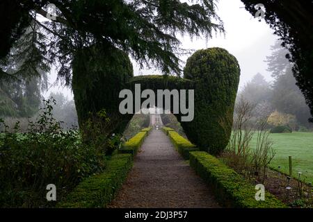 Colonne di Yew, arco di tasso, topiary di tasso, siepe di scatola, giardini formali, caratteristica di giardino di tasso, caratteristiche di giardino, inverno, nebbia, nebbia, giardinaggio invernale, Altamont Giardini, Corona Foto Stock