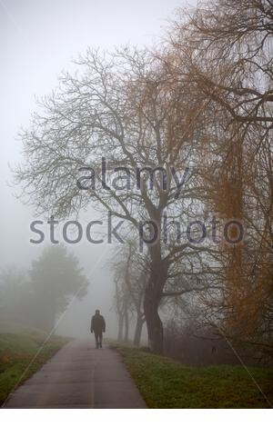 Coburg, Germania. 13 Dicembre 2020. Un uomo fuori a piedi vicino Coburg, questa mattina dove la giornata ha iniziato molto nebbia con pesante copertura nuvolosa. Credit: Clearpix/Alamy Live News Credit: Clearpix/Alamy Live News Foto Stock