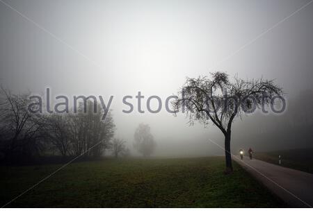 Coburg, Germania. 13 Dicembre 2020. I ciclisti si godettero un giro mattutino vicino a Coburg, questa mattina dove la giornata iniziò molto stolta con una pesante copertura nuvolosa. Credit: Clearpix/Alamy Live News Credit: Clearpix/Alamy Live News Foto Stock