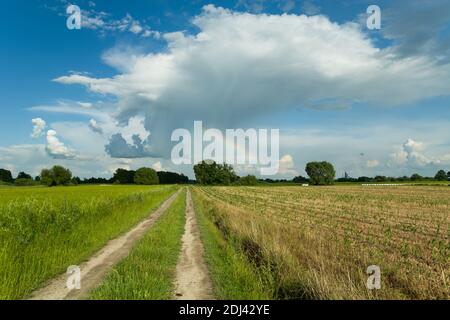 Strada di campagna attraverso i campi e un piccolo arcobaleno sulla cielo Foto Stock